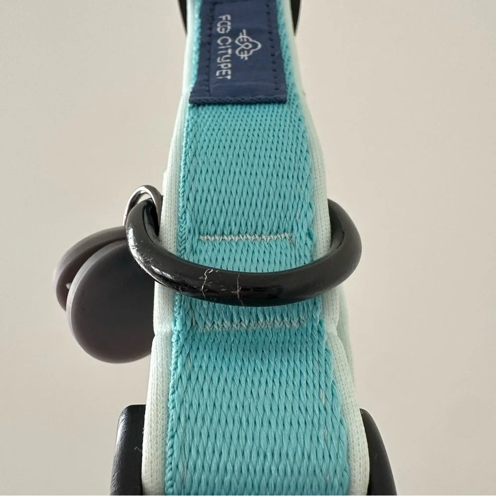 Fog City Pet Light Blue Daily Wear Dog Collar